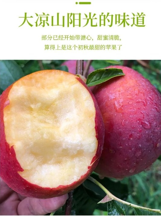 兴攀农场优质水果秋季上新：两大知名地标苹果来了！