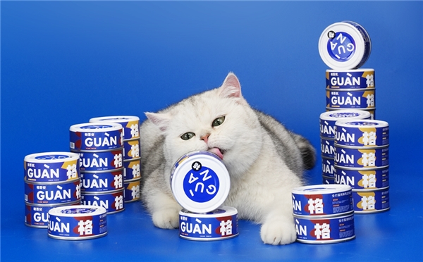 双十一猫罐头认准格吾安，就一个字：省！