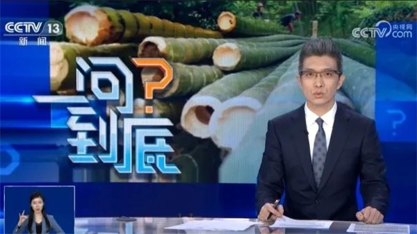 央视报道：“三年行动计划”开始！味家竹科技争做“以竹代塑”排头兵