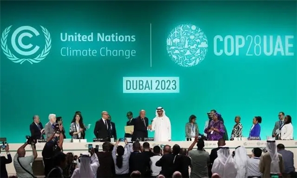 阿联酋本土企业代表纽顿亮相COP28，展示清洁能源价值链的解决方案
