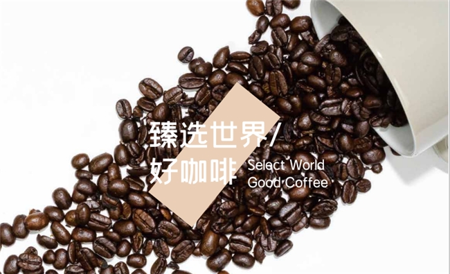 旗木咖啡榮獲中國人保PICC質量承保，品質與信譽的雙重保障