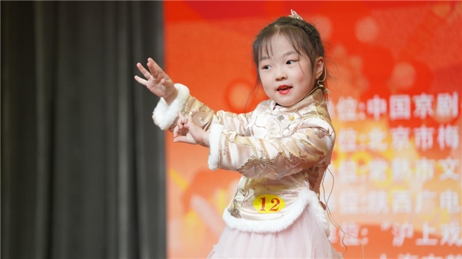 大爱小爱，中华传统文化在国际舞台上的璀璨呈现
