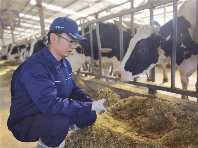 蒙牛两会献策：培育新质生产力 保障国家“奶瓶子”安全