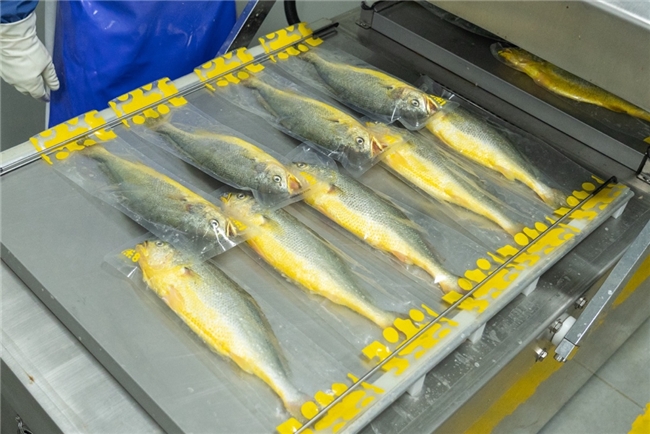 一米八3·15发布品控报告：严守大黄鱼质量标准，品控捍卫权益