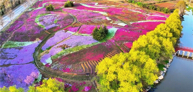 산둥성 웨이하이시 원덩구: 곤위산 기슭의 아름다운 마을