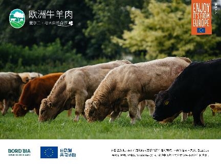 可持续的欧洲牛肉，来自翡翠绿岛爱尔兰