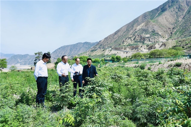 中建八局二公司陕西公司赴卓尼县杜家川村 开展慰问调研活动