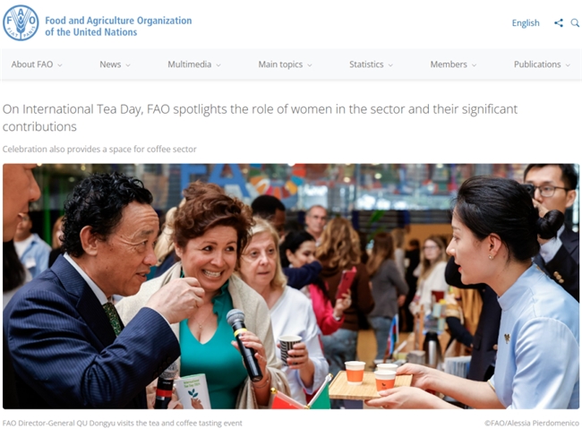 连续两年亮相联合国粮农组织总部，八马茶业如何将“中华茶韵”推向“世界舞台”。
