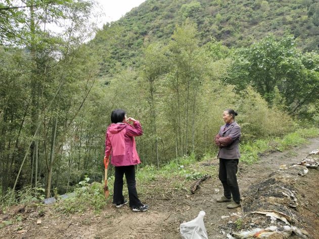 “矿野之息”：专注矿山土壤修复，重塑绿色生态