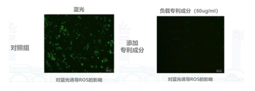 科技赋能美丽新纪元：“华妍光钥”重塑抗光老护肤品市场