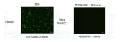 科技赋能美丽事业，青山利康以华妍光钥引领国货护肤新风潮