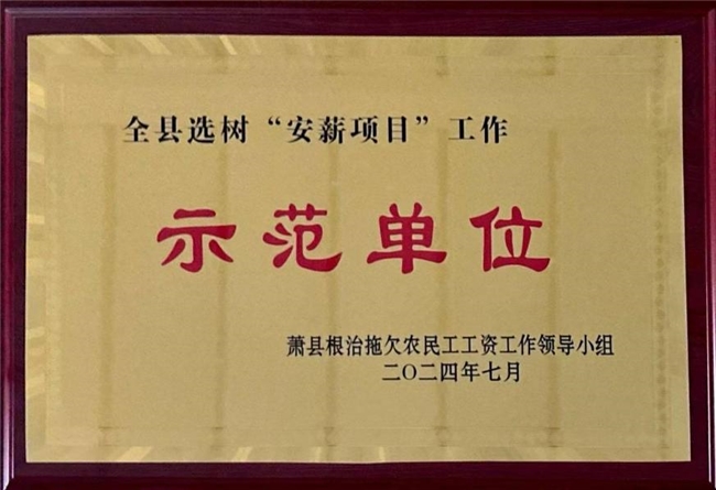 萧县淮海凤山侧街区项目获评县选树“安薪项目”工作示范单位