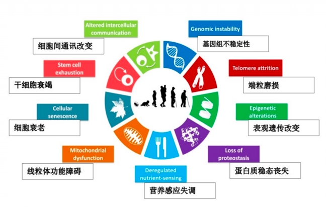 优时颜杜乐：科学与人文双轨进化