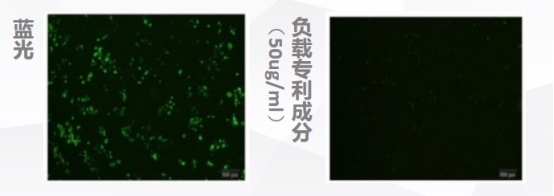 科技解锁抗蓝光秘密，华妍光钥专利守护肌肤青春密钥