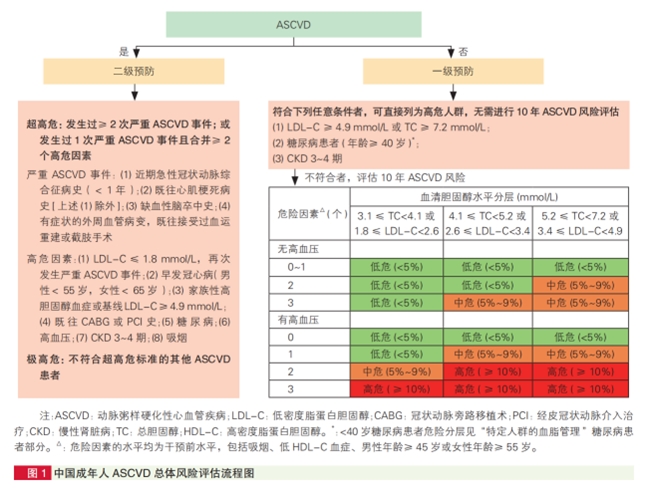 深入医学科普:高血脂症与阿托伐他汀的治疗之路