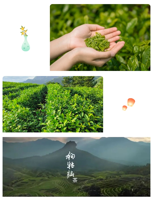 “茶联沪赣、茶和天下” 沪赣交融绽新颜，赣茶文化迈向世界舞台！第2张