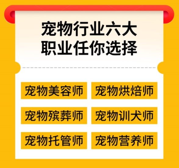 灵宠大陆宠业商学院——宠物爱好者的职业梦想摇篮