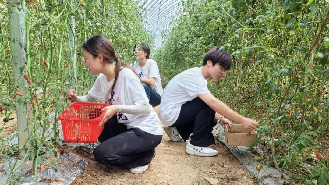 枣庄学院生命科学学院  暑期“三下乡”社会实践总结篇