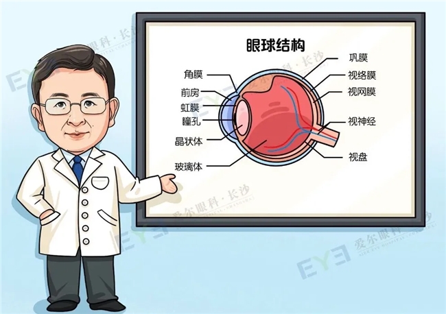 低度数不适合ICL晶体植入术？爱尔眼科教你正确认识ICL晶体植入术