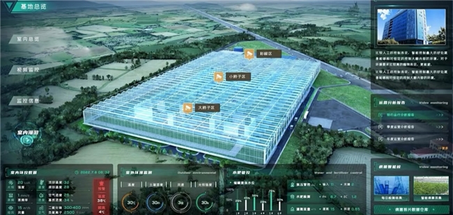 南京科巽粮业科技有限公司：智创新峰揽金辉，资汇潮涌铸华年