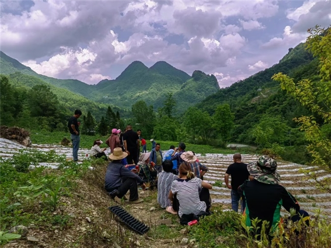 走好巴蜀大山里的乡村振兴路