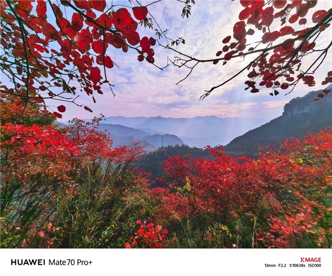 共绘巫山红叶盛景 华为Mate70红枫原色影像见证自然之美