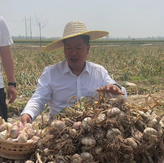 张宏伟的草根逆袭与辉煌人生之旅