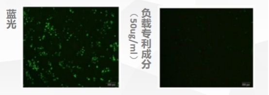 特别添加麦角硫因，华妍光钥为肌肤筑起蓝光防护新防线