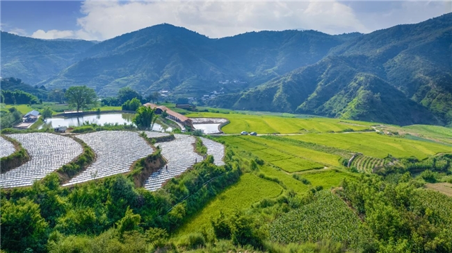 农发行攀枝花市分行：“农”情润花城，“发”展铸篇章