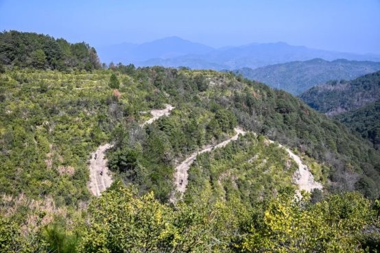 破风追逐，“骑”开得胜丨社发杯 云上竞速2025汇溪瓜车(Gravel bike)挑战赛圆满落幕！