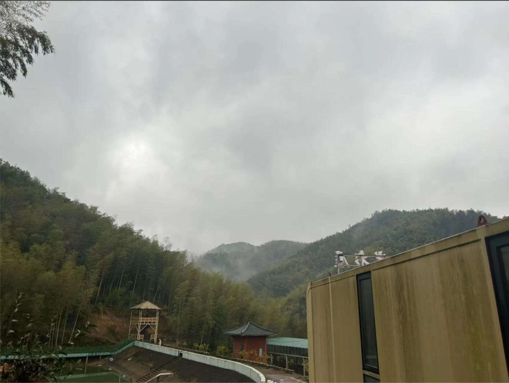031601.jpg