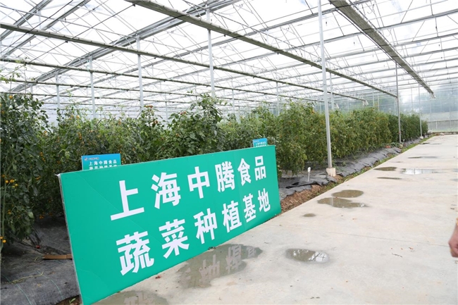 食堂管理上海中腾食品：自建中央加工配送引领高效餐饮