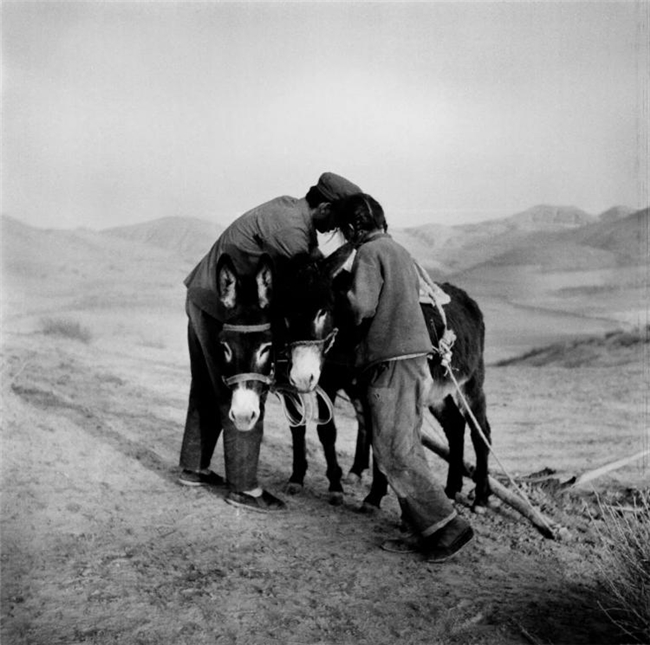 李樯镜映陕北：80-90年代乡村的时光留影与时代回响