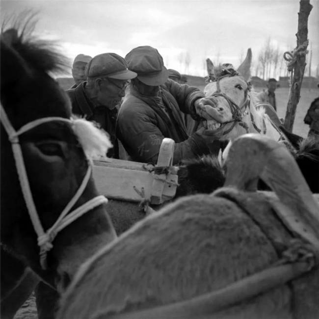 李樯镜映陕北：80-90年代乡村的时光留影与时代回响