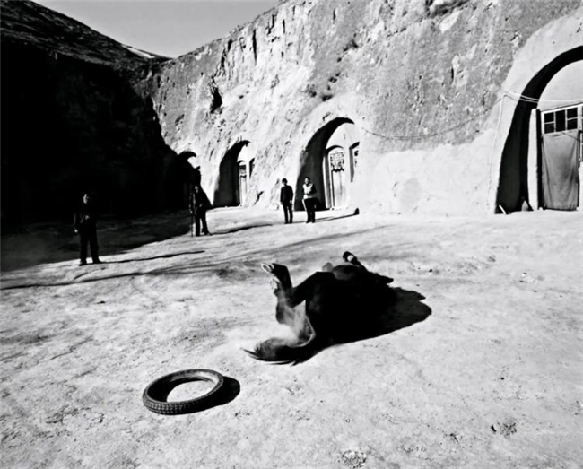 李樯镜映陕北：80-90年代乡村的时光留影与时代回响