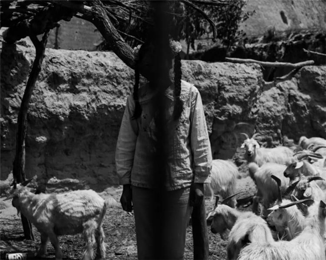 李樯镜映陕北：80-90年代乡村的时光留影与时代回响