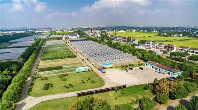 绿果app正规吗？服务 三农发展开启农业创新发展新征程