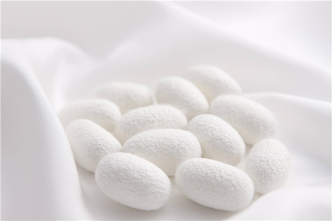 丝研生物 | 重磅原料「芯丝素™」丝素肽上市，引领「丝素蛋白」研发新高