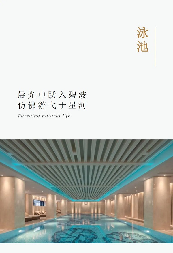 图片20.png
