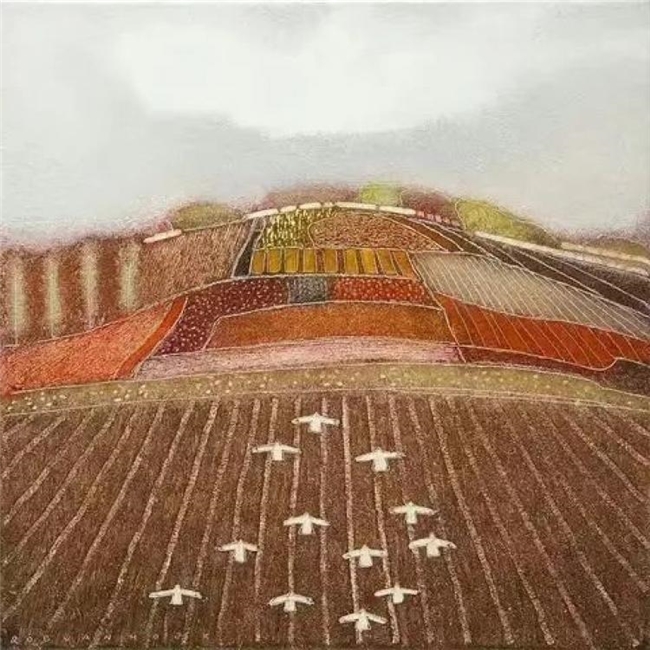 大地的补丁：荷兰农夫 Rob Van Hoek 的画布时光札记