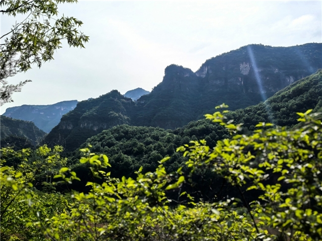 星空入梦·文化栖居  28星宿主题民宿点亮太行山文旅新地标