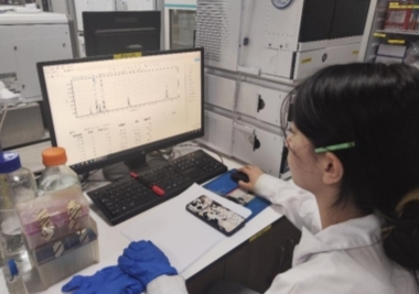河南大学解锁植物抗旱 “密码”,纳米递送系统助力绿色农业(图1)