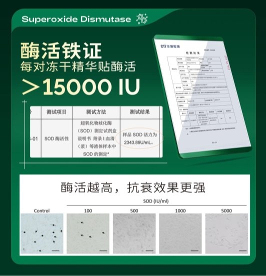 刷酶热潮来袭！黛碧泉生物酶冻干面膜开启功效护肤新纪元