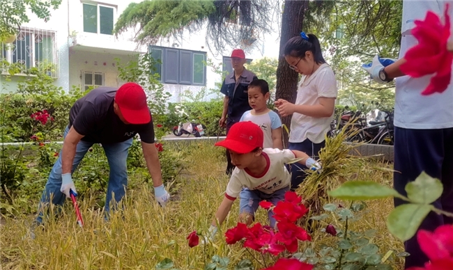 北京银泰物业点亮城市农耕记忆 让小区熠熠生辉,让六一播种希望(图4)