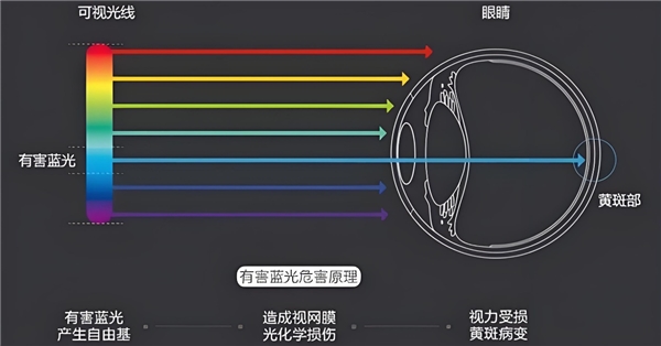 爱眼日特别关注：当我们在看屏幕时，眼睛正在经历什么？