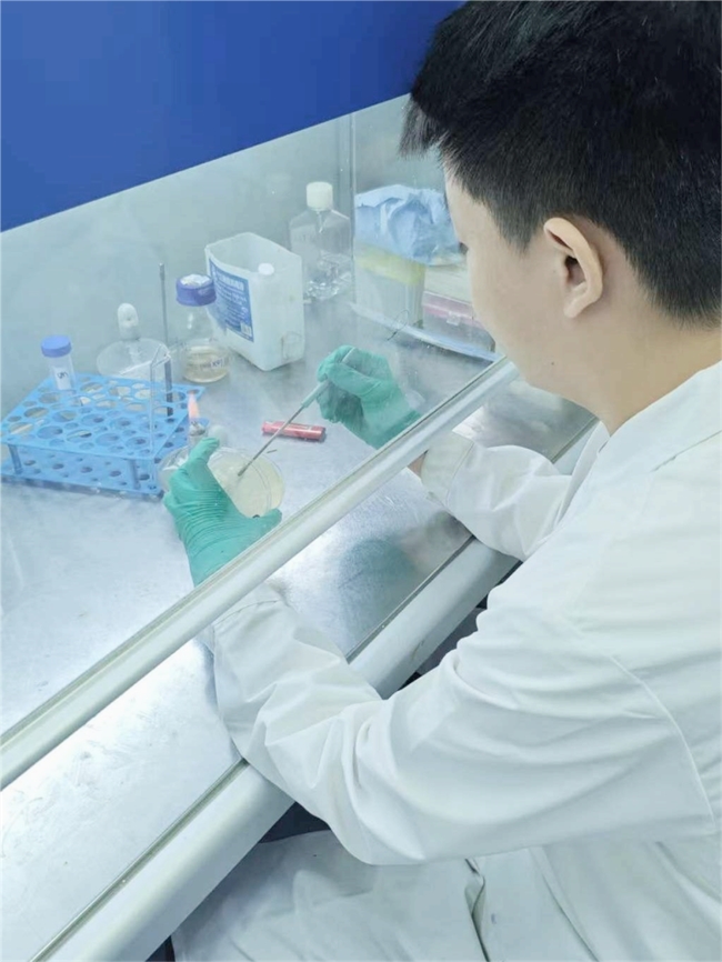 Z时代饮酒健康新思路：济医学子打造“胃内代谢”解酒益肠胶囊