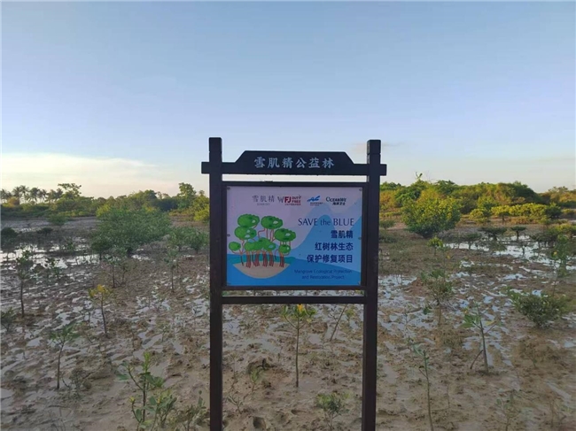 雪肌精开展“SAVE the BLUE”红树林植树活动