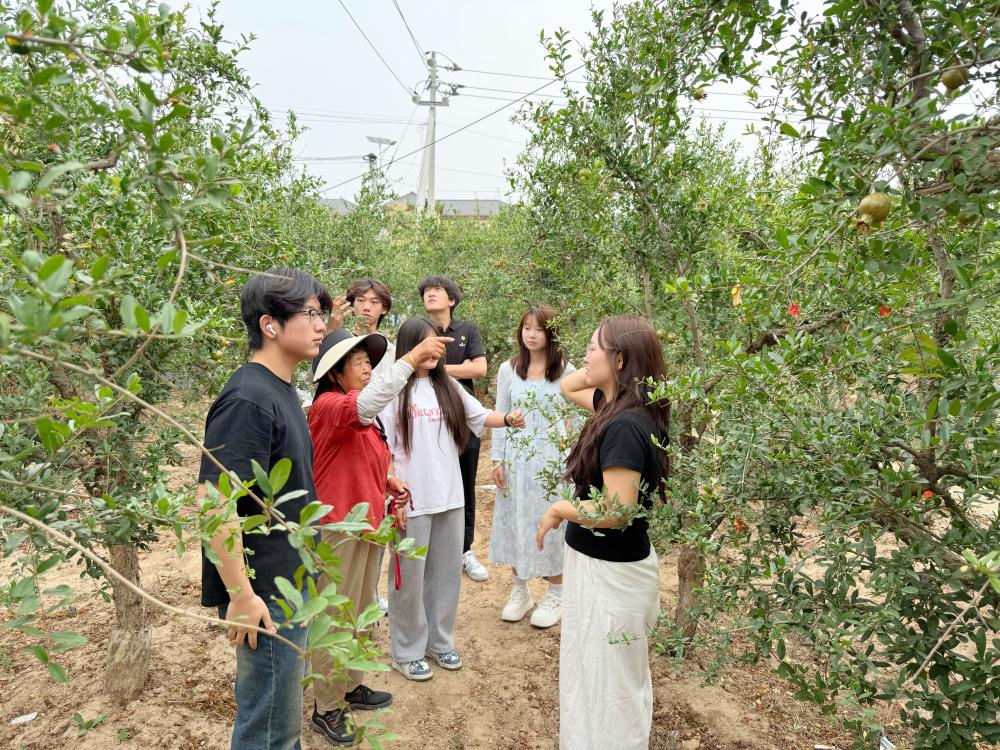 图片3(1).jpg