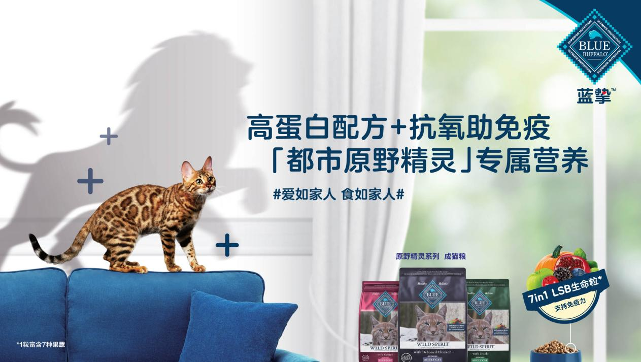 图片240.png