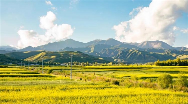 西宁：大西北的 “三无” 避暑秘境，夏季平均气温 15.1℃的清凉之都
